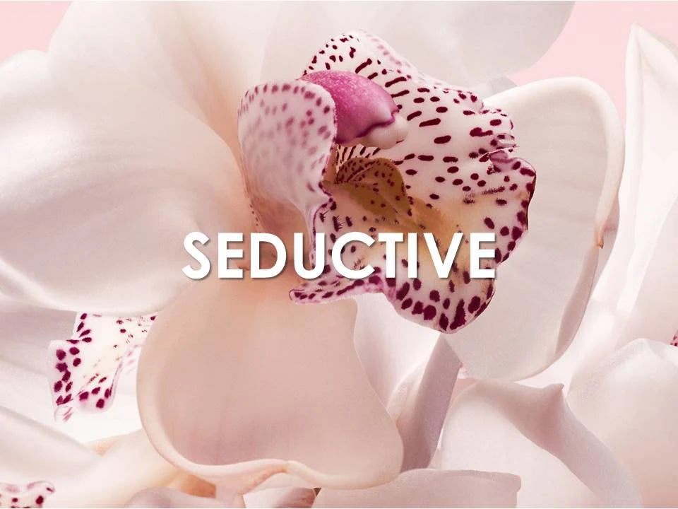 JIMMY CHOO Eau de Parfum Spray, 3.3 oz.