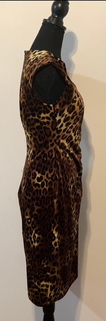Lady's Dress Animal Print