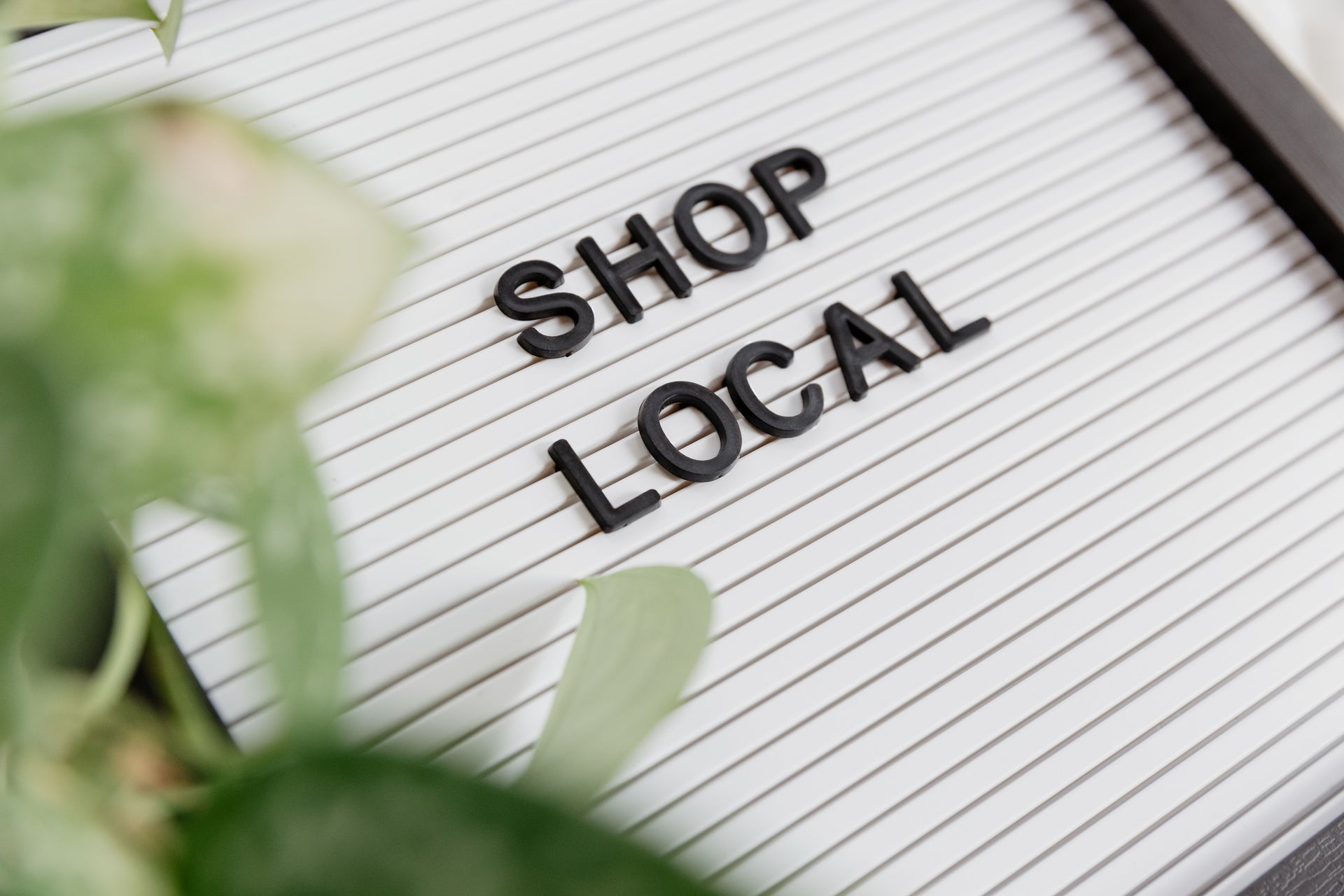 Load video: A gift idea for Mother&#39;s Day or Any other holiday to give gifts. Intro to meet the owner.